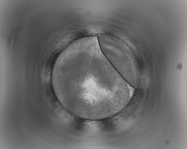 X0000096400417200802071605