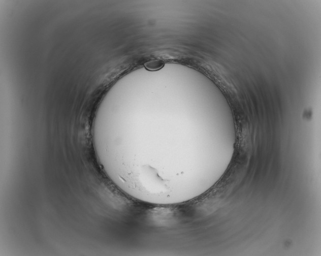 X0000096400418200802071605