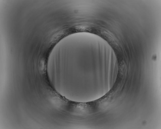 X0000096400420200802071605