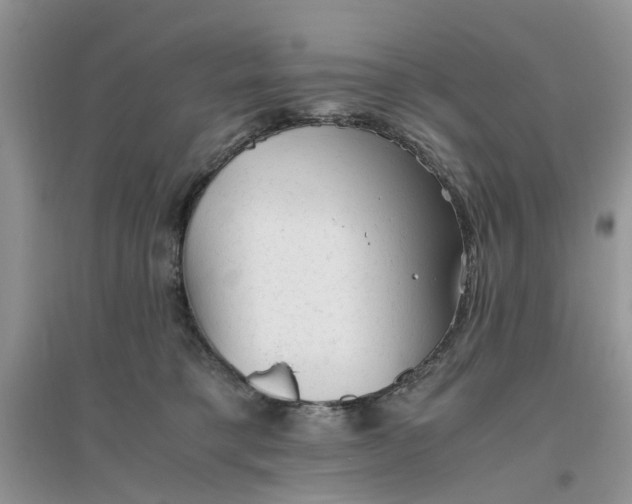 X0000096400421200802071605