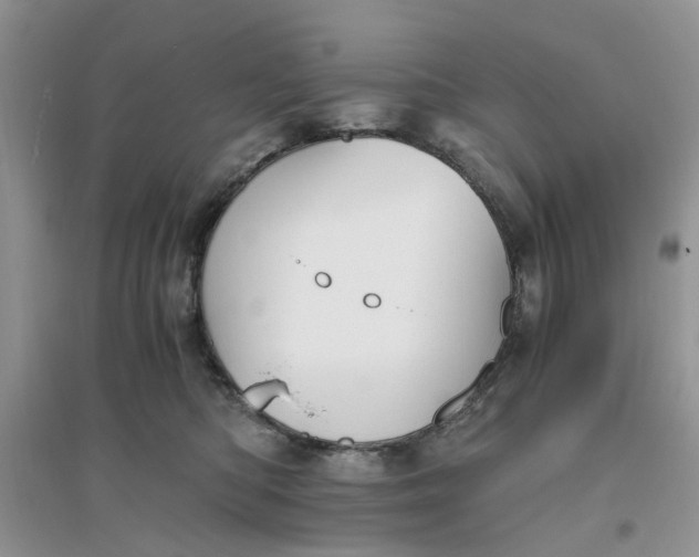 X0000096400422200802071605