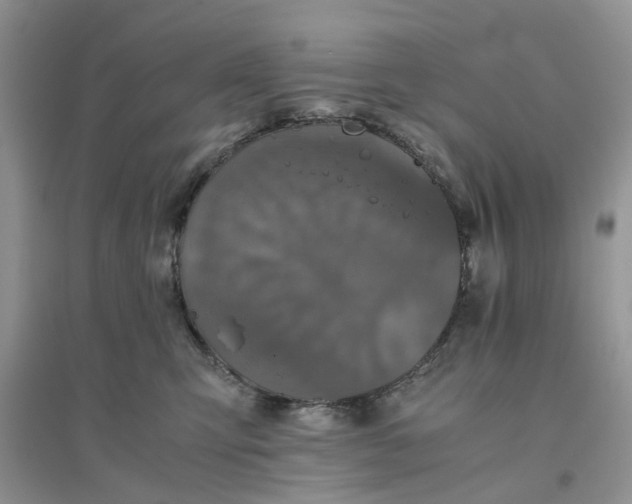 X0000096400423200802071605