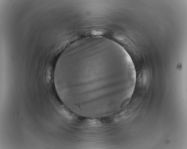 X0000096400424200802071605