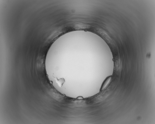 X0000096400426200802071605