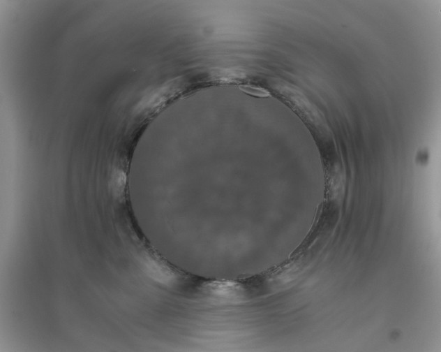 X0000096400427200802071605