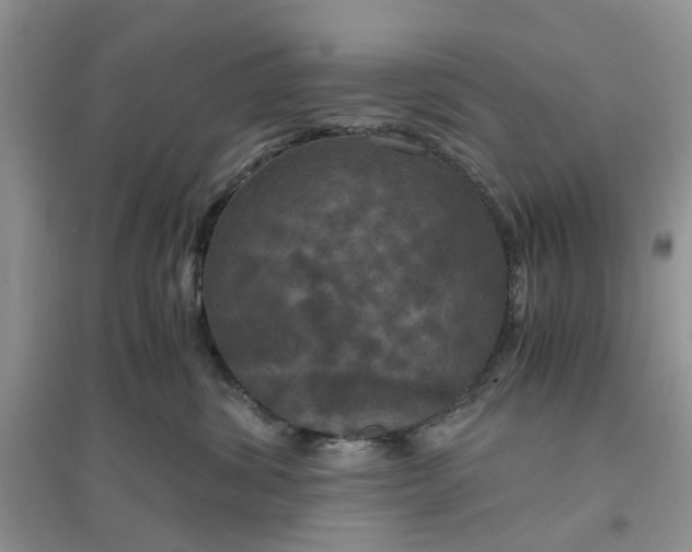 X0000096400428200802071605