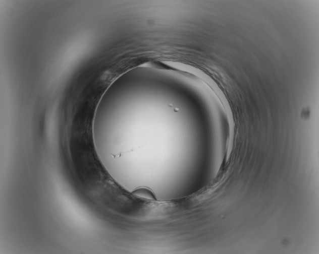 X0000096400429200802071605