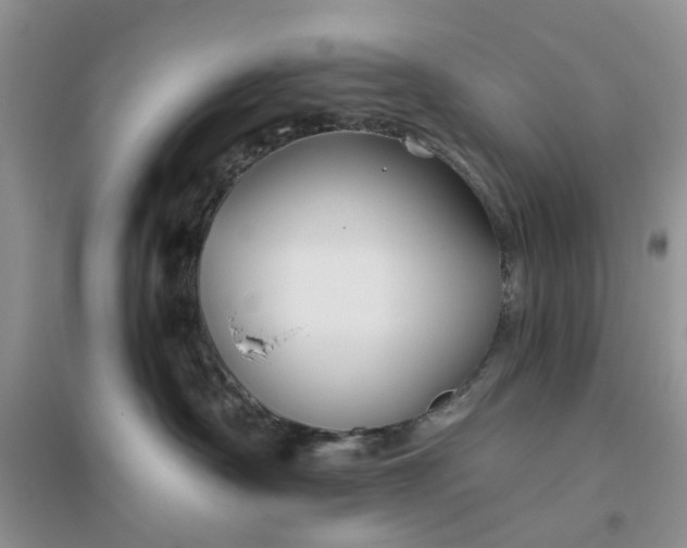 X0000096400430200802071605