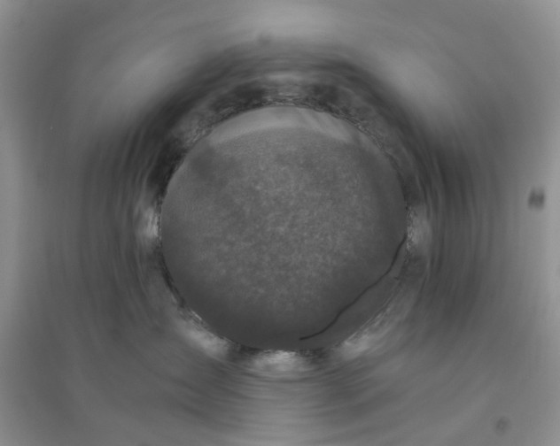 X0000096400431200802071605