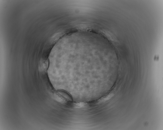 X0000096400432200802071605