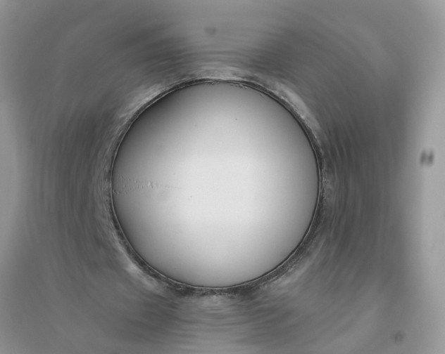 X0000096400433200802071604