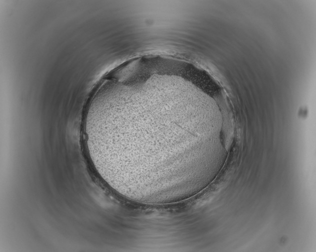 X0000096400434200802071604