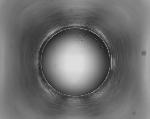 X0000096400435200802071604