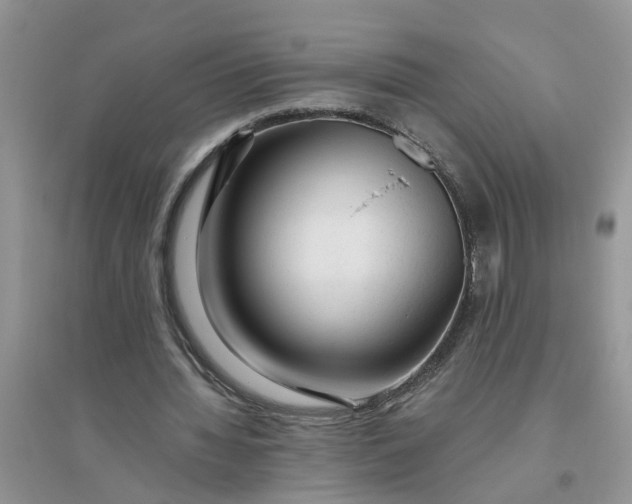 X0000096400436200802071604