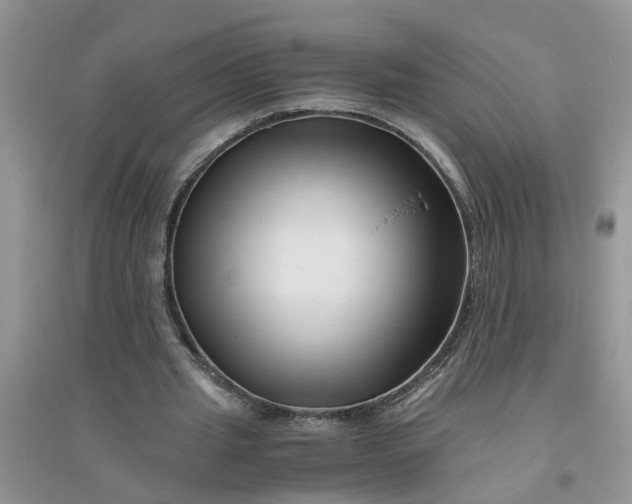 X0000096400437200802071604