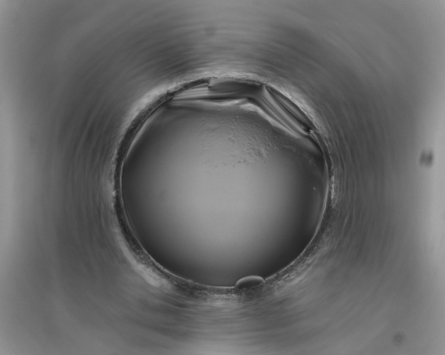 X0000096400438200802071604