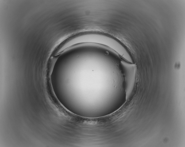 X0000096400440200802071604