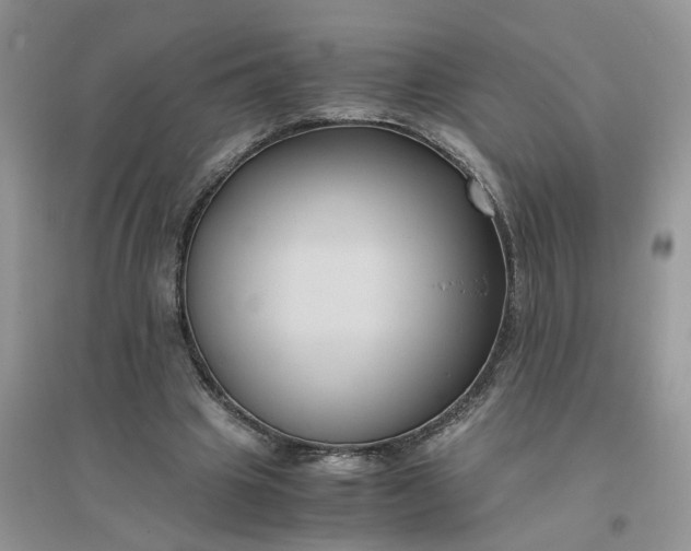 X0000096400441200802071604