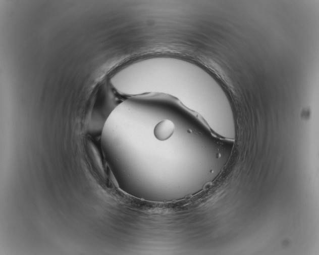 X0000096400444200802071604