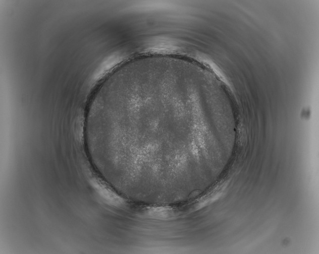 X0000096400446200802071604