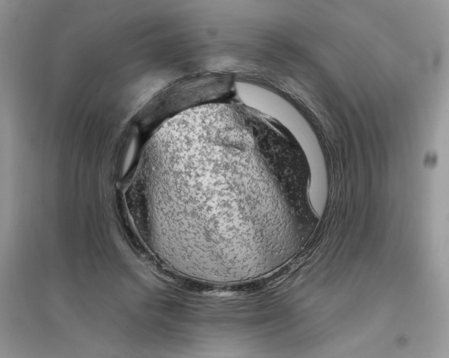 X0000096400448200802071604