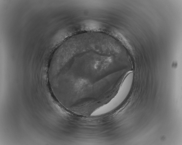 X0000096400449200802071604