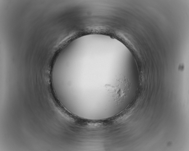 X0000096400450200802071604