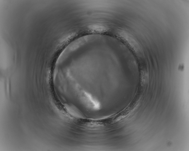 X0000096400451200802071604