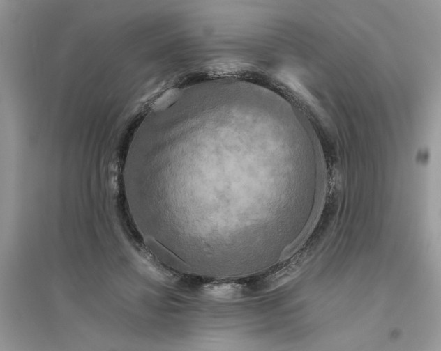 X0000096400452200802071604