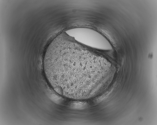 X0000096400453200802071604