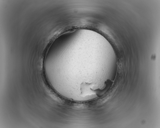 X0000096400454200802071604