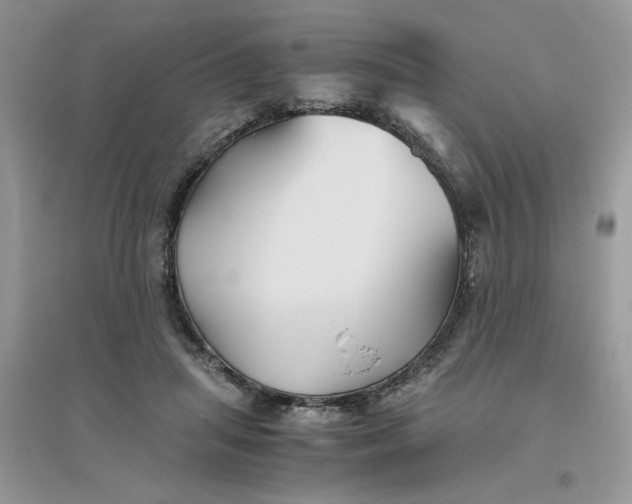 X0000096400455200802071604