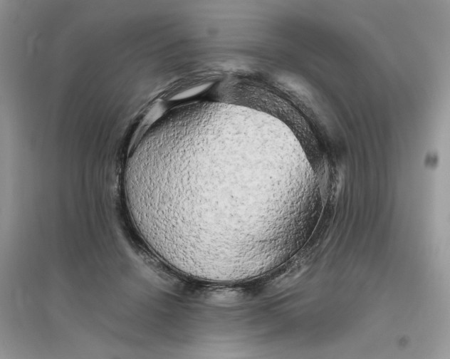 X0000096400456200802071604