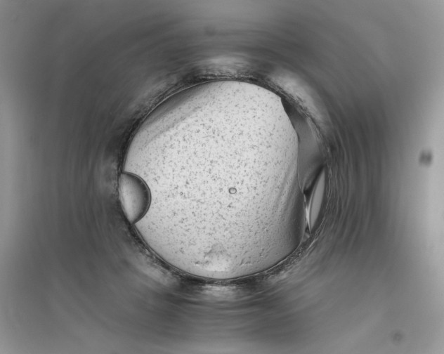 X0000096400457200802071604