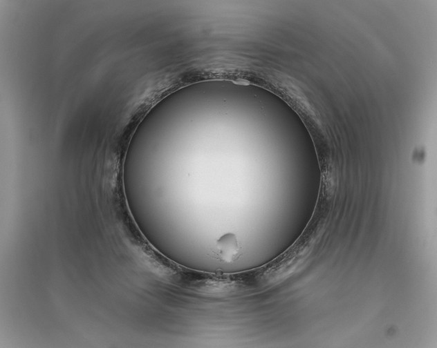 X0000096400458200802071604