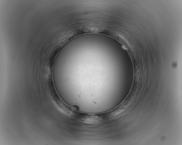 X0000096400459200802071604