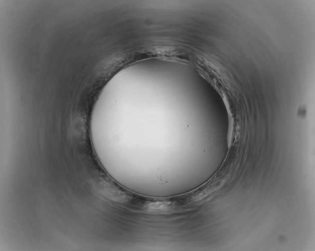 X0000096400461200802071604