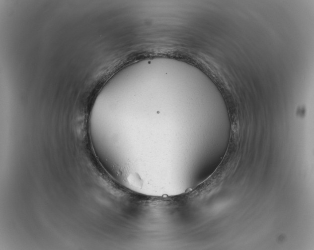 X0000096400462200802071605