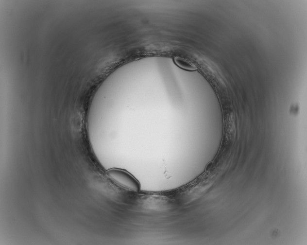 X0000096400463200802071605