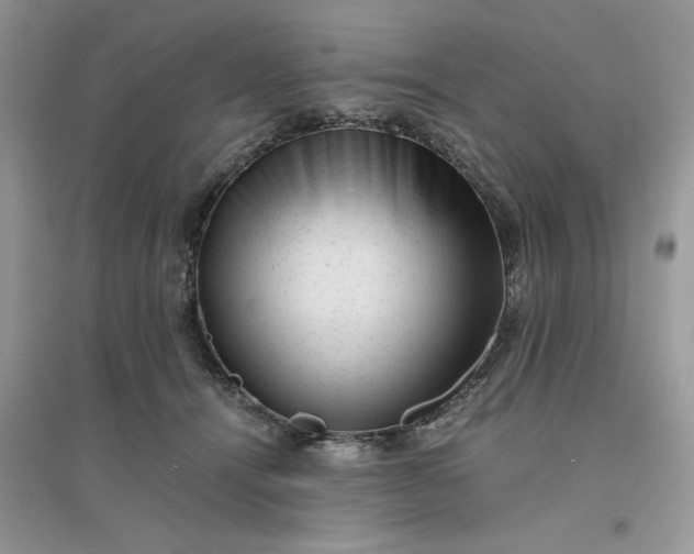 X0000096400464200802071605