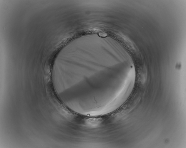 X0000096400465200802071605