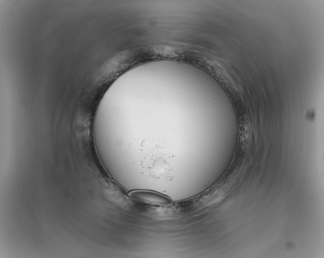 X0000096400466200802071605