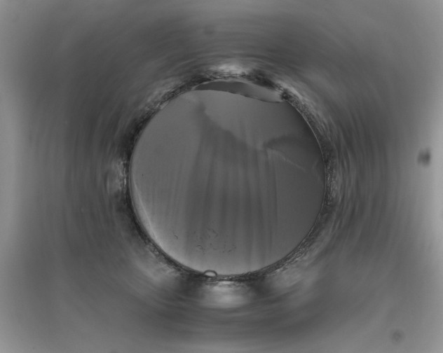 X0000096400467200802071605