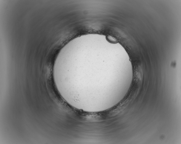 X0000096400468200802071605