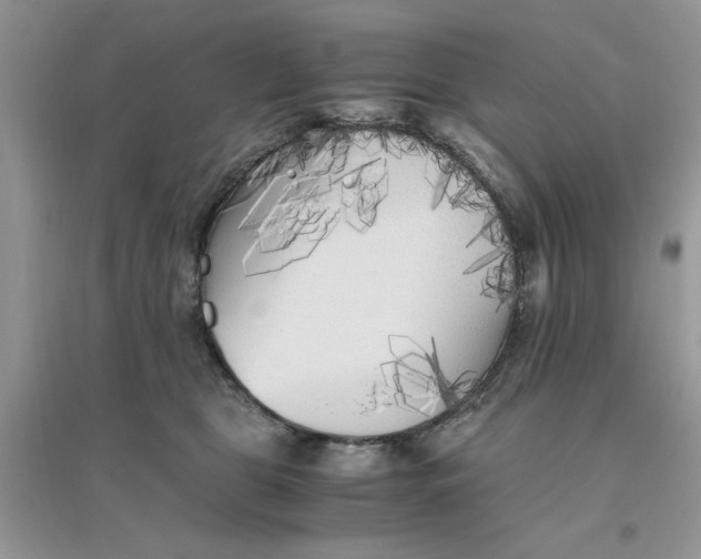 X0000096400469200802071605