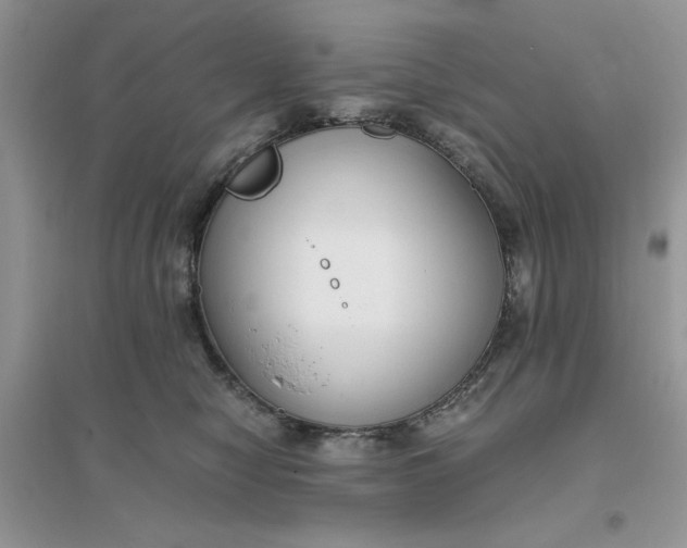 X0000096400470200802071605