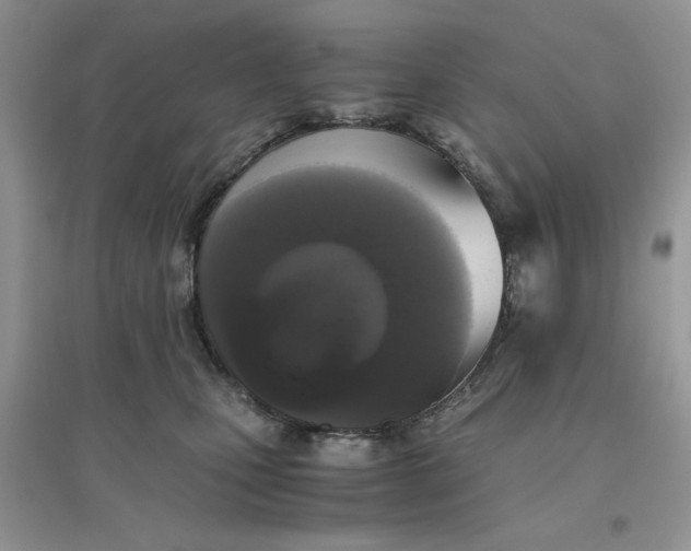 X0000096400471200802071605