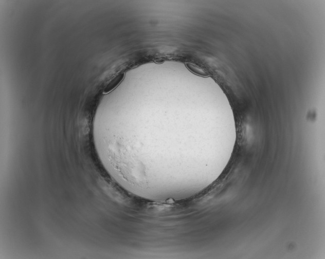 X0000096400472200802071605