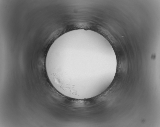 X0000096400473200802071605