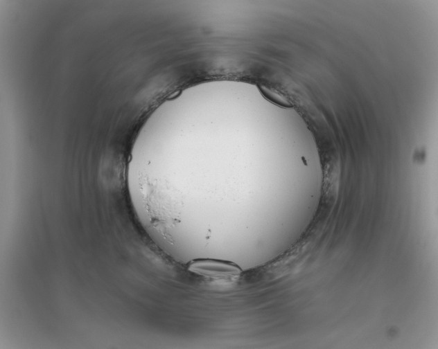 X0000096400474200802071605